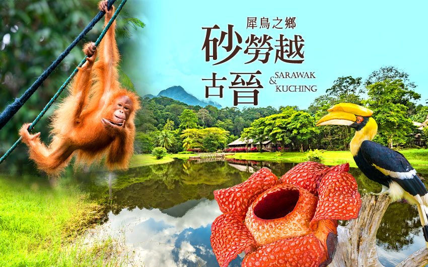 砂勞越 古晉